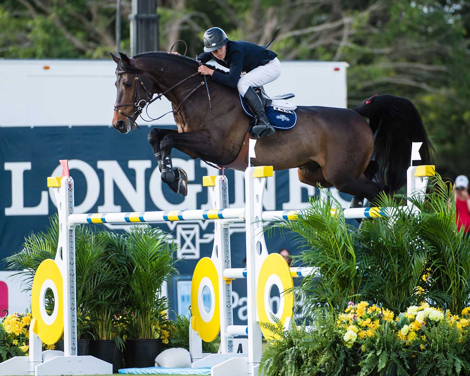 Coriandolo ridden by Lauren Tisbo