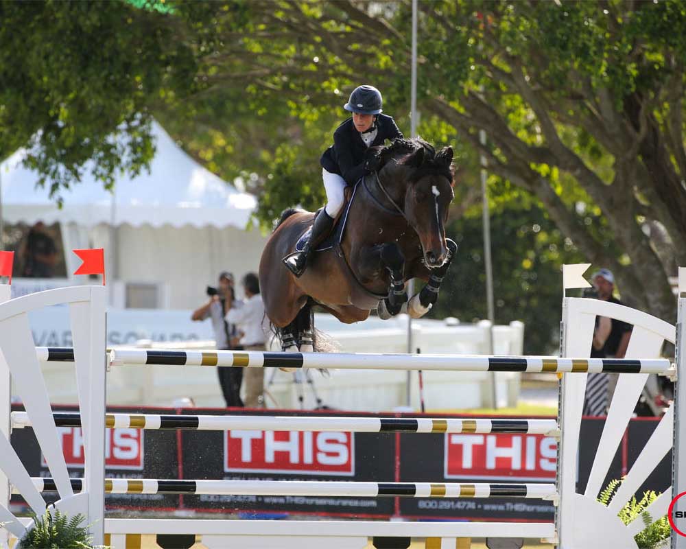 Mr Visto in 2017 PB Masters